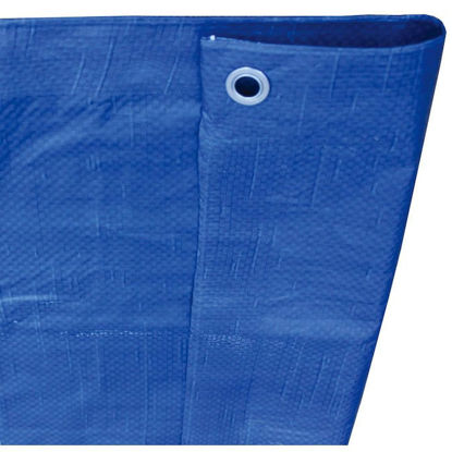 Picture of 30-ft x 50-ft Blue Standard Polyethylene Tarp