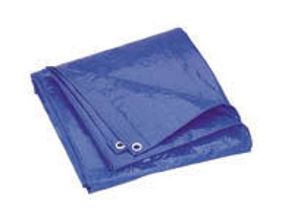 Picture of 40 X 60 Tarpaulin Blue