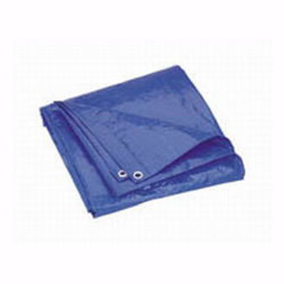 Picture of 10 X 20 Tarpaulin Blue