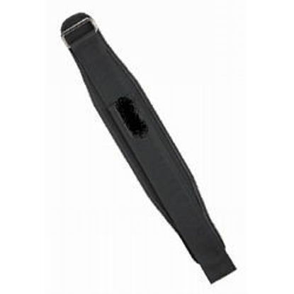 Picture of 4" Nylon Support Belt