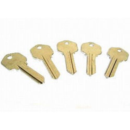 Picture of 100pc Blank Key